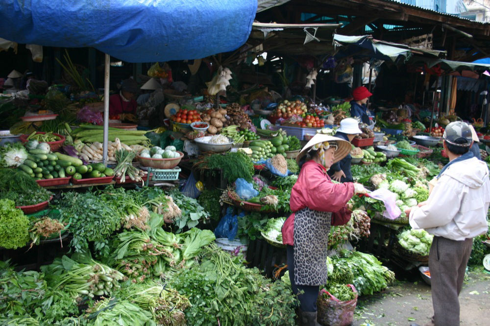 Cung cấp rau củ cho tiểu thương ở các chợ